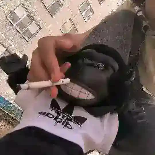 Раздачи звезды