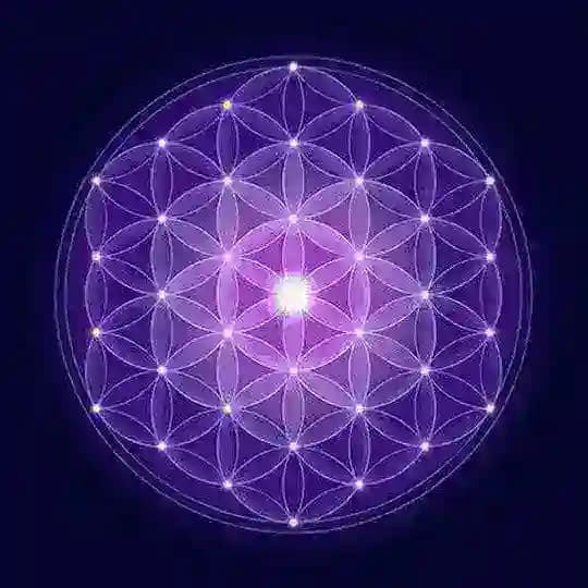 The Awakened Species ☀️