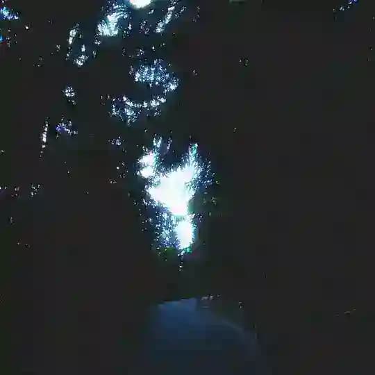 a whole fucking lifetime of this