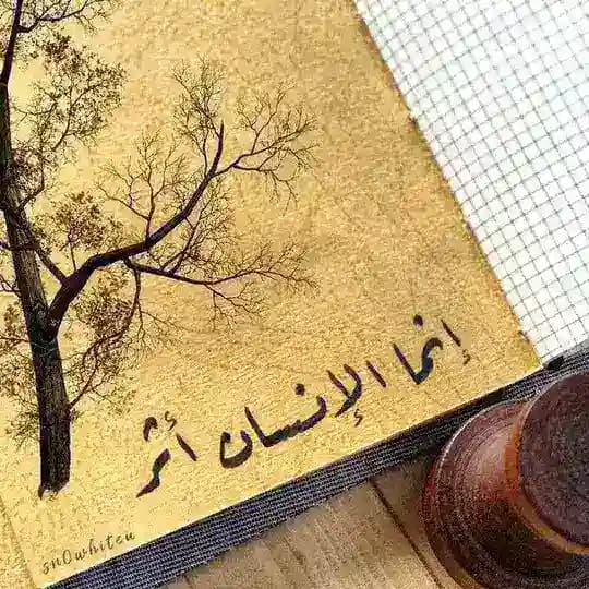 كتابات آيه شاكر