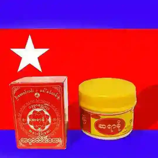 ဆရာခို