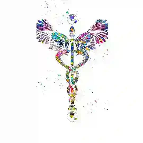 ايلول 🦋