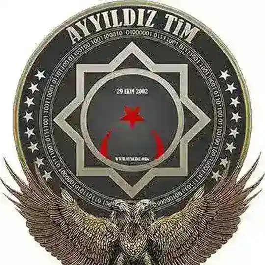 Ayyıldız Tim
