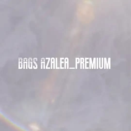 Bags_Azalea 23-99