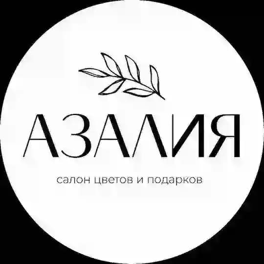 АЗАЛИЯ | ЦВЕТЫ КАЗАНЬ ДОСТАВКА 24/7