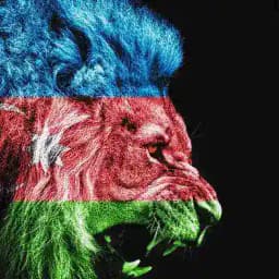 🇦🇿Azeri Muzik🇦🇿 Profile
