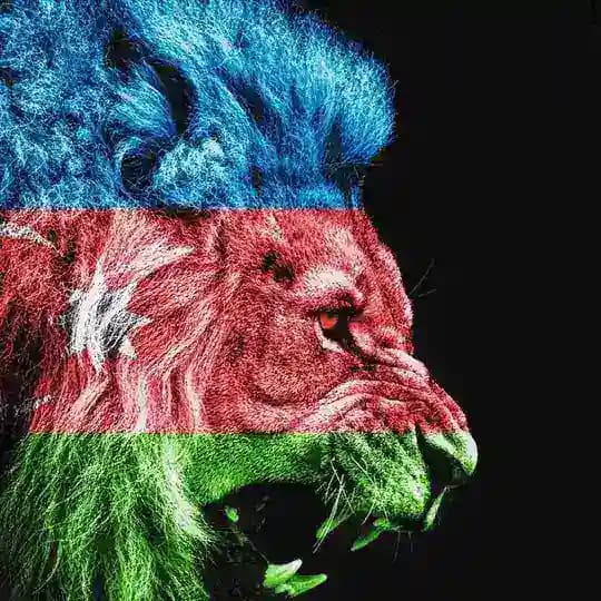 🇦🇿Azeri Muzik🇦🇿 Profile