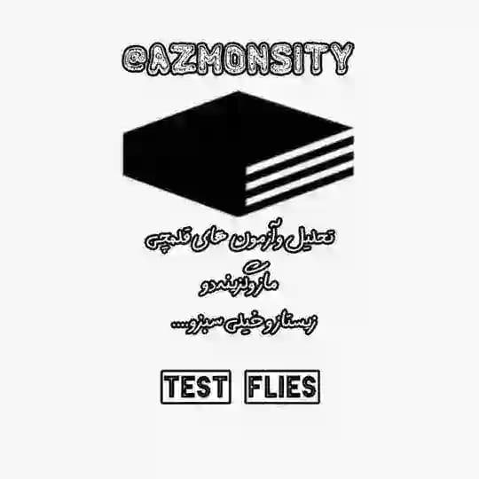 𝖠𝖹𝖬𝖮𝖭 𝖲𝖨𝖳𝖸 | تحلیل و آزمون