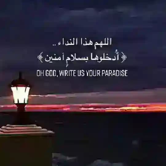 ✨🕊ادخلوها بسلام🕊✨