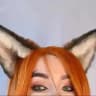 mary volpi