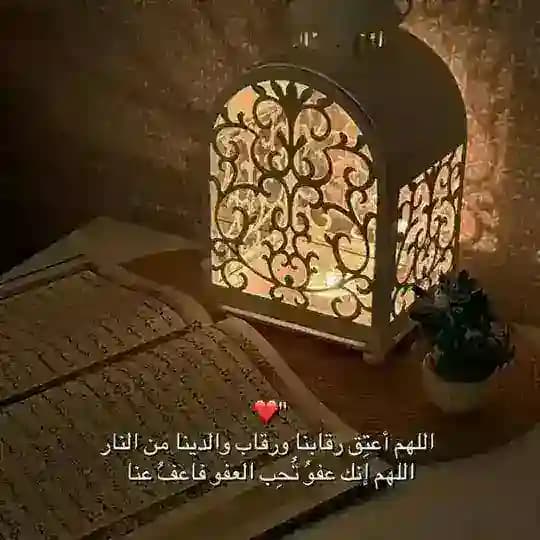 🩺 🪄المسيرة نحو القمة🕯🖇🦋||BAC 2026||🦋