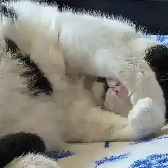плейлист для ху*вого дня 💀