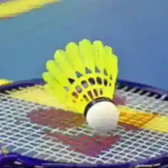 Бадмінтон 🏸