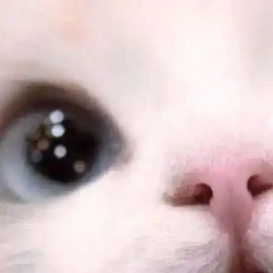 йзй.‧º·˚🎐🪷