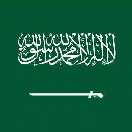 🇸🇦沙特华人@shate