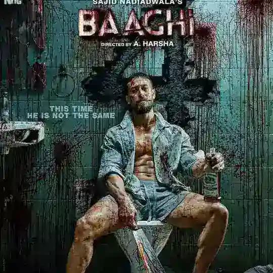 Baaghi 4 Movie