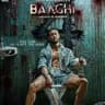 Baaghi 4 Movie