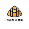 巴赫集团 · 全球渗透数据 · 海外项目