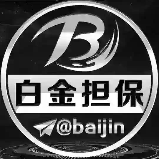 白金担保客服频道 @baijin