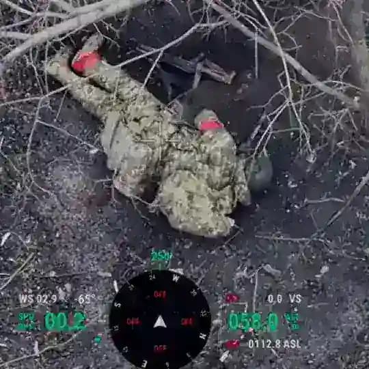 MAIQ 🇨🇱✙ Bajas Rusas ✙🇺🇦