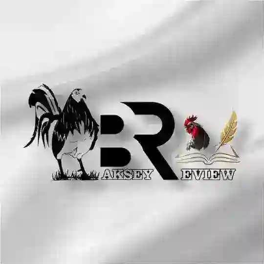 Baksey Review