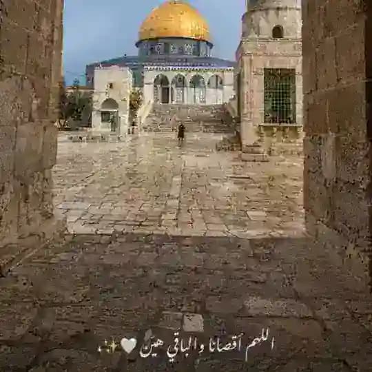 طوفان الاقصى غرس الياسين 💚