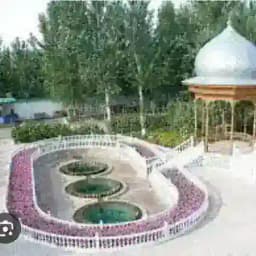 BALIQCHI TONGGI / БАЛИҚЧИ ТОНГГИ Profile