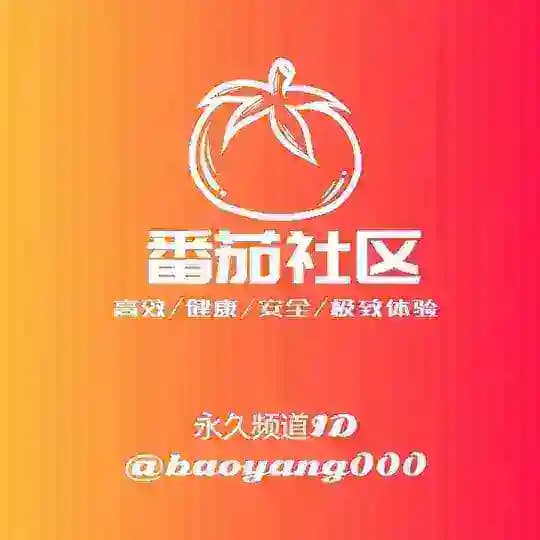 番茄社区丨包养 伴游