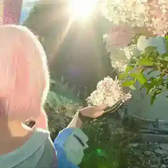 баранка вещает