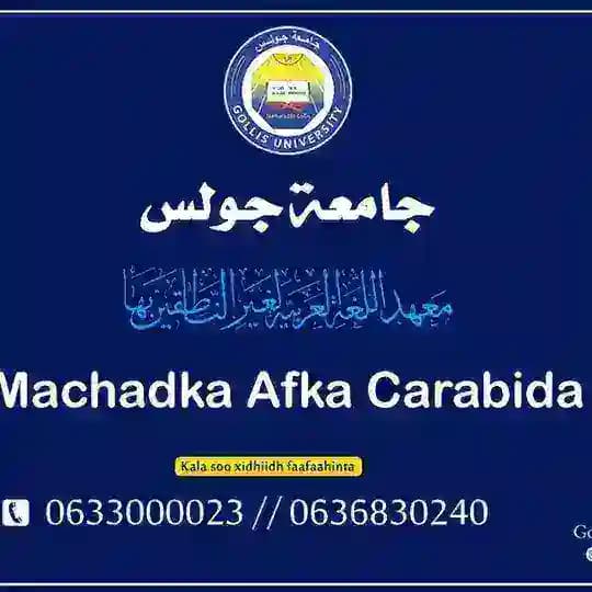 Barashada Afka Carabida