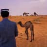 قناة ناجح الشراري