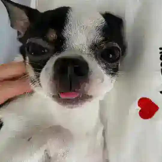 Любовь по бартеру и без ♥️
