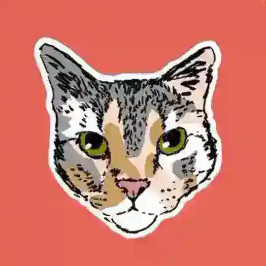 Base de gatos Profile