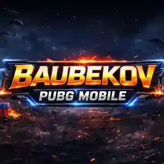 BAUBEKOV PUBGM