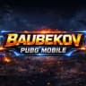 BAUBEKOV PUBGM