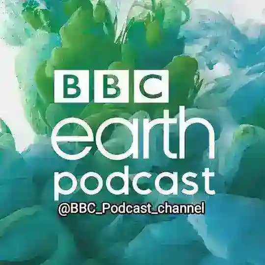 BBC PODCASTS 🎧