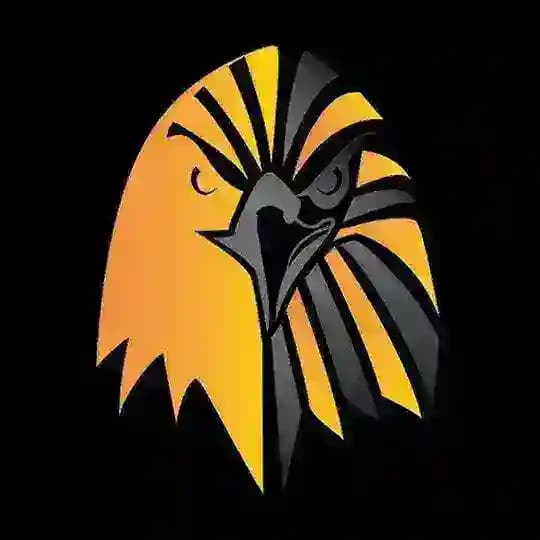 bbirdg.com | BlackBird Store