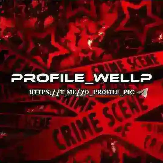 PROFIL_WELLp Profile