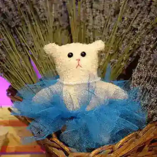 медвежье королевство // bears’ kingdom