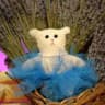 медвежье королевство // bears’ kingdom