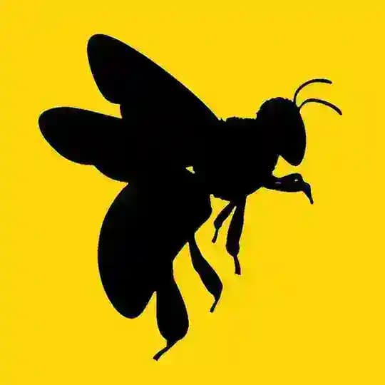 BEE FILM