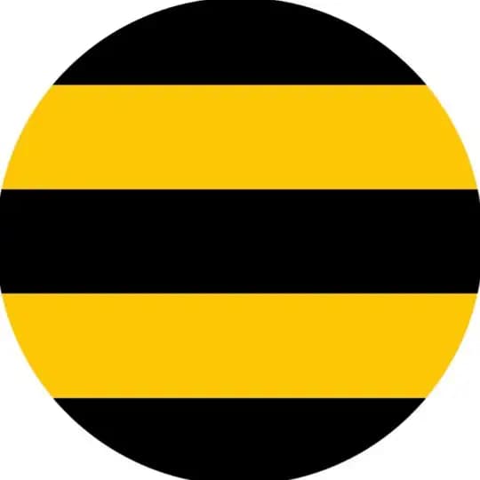 Beeline | NEWS Profile