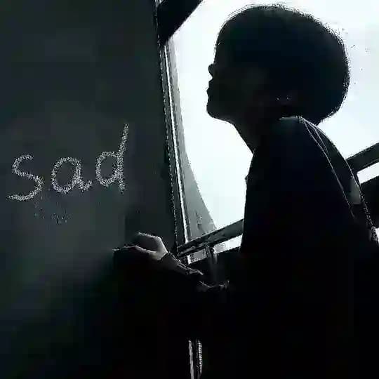 本盖文件/直装