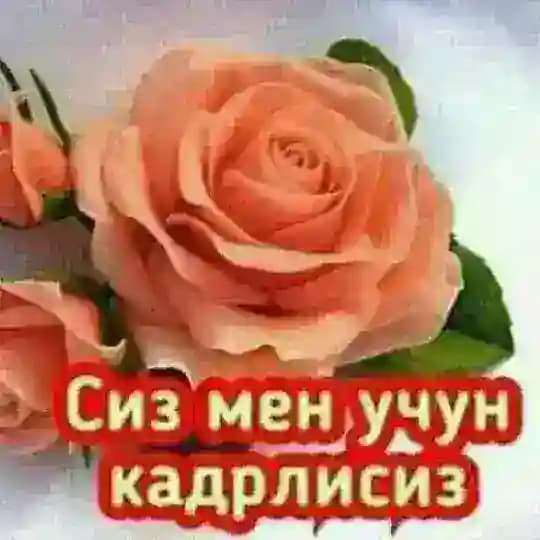 💐БЕГОЙИМ💐