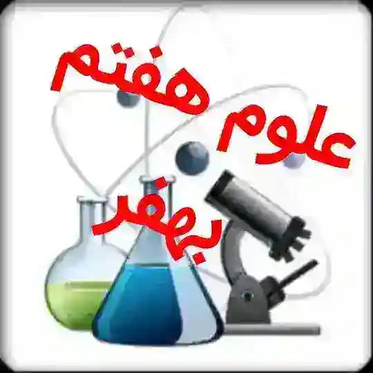 @behfaroloum7