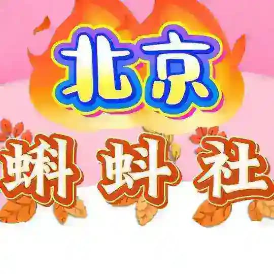 北京蝌蚪社区老司机资料 Profile