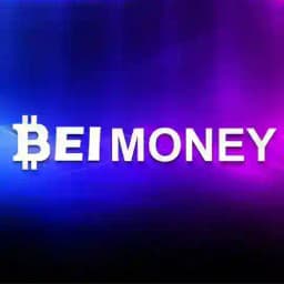 BEI Money Profile