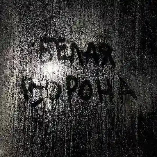 БЕЛАЯ ВОРОНА