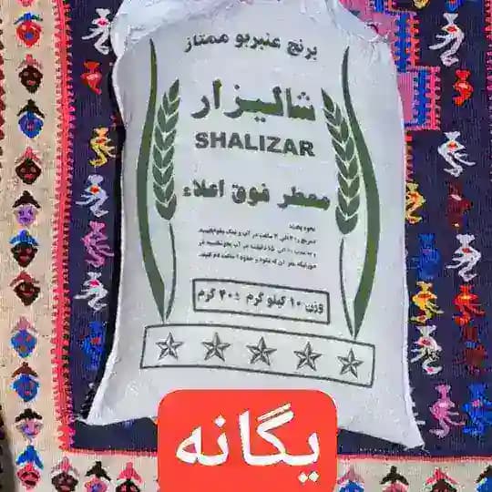 برنج عنبر بو شوشتر، مصطفی یگانه