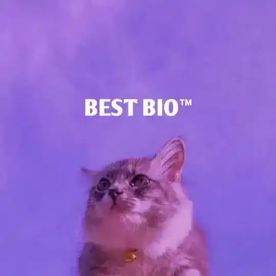Best bio's✨